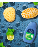 Sprchový gél s mätou a limetkou 250ml Felce Azzurra