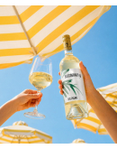 BASSOGRADO Bianco IGP 750ml Due Palme BASSOGRADO Bianco IGP 750ml Due Palme