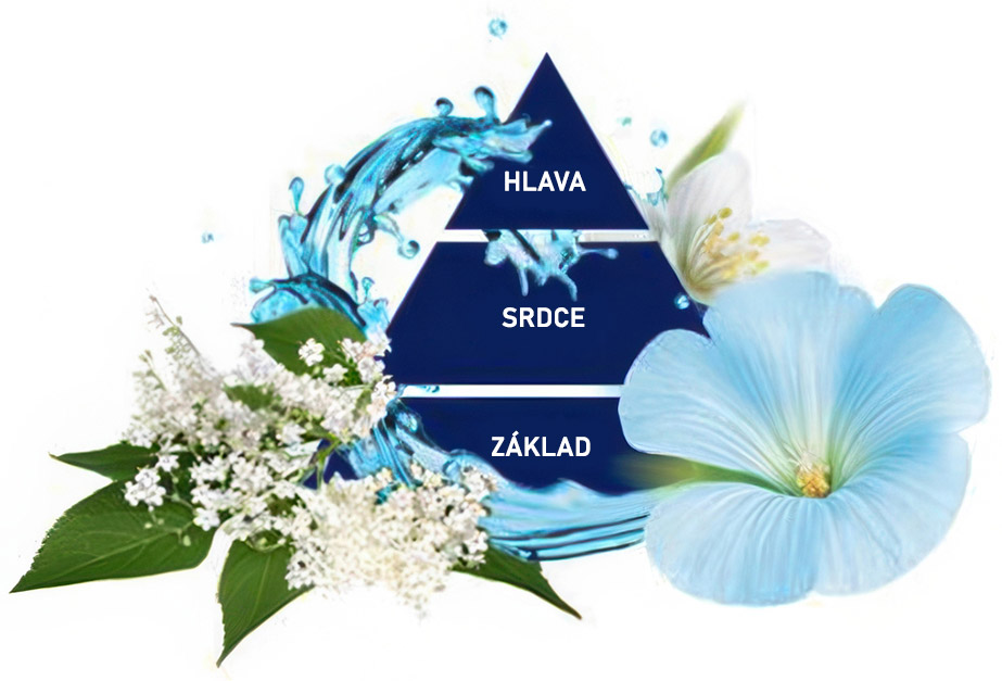 Felce Azzurra Doccia Gel Muschio Bianco