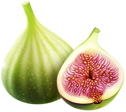 Pisti figa