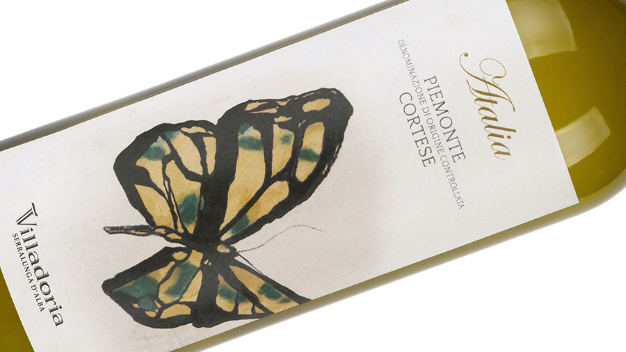 Villadoria Piemonte Cortese DOC Atalia